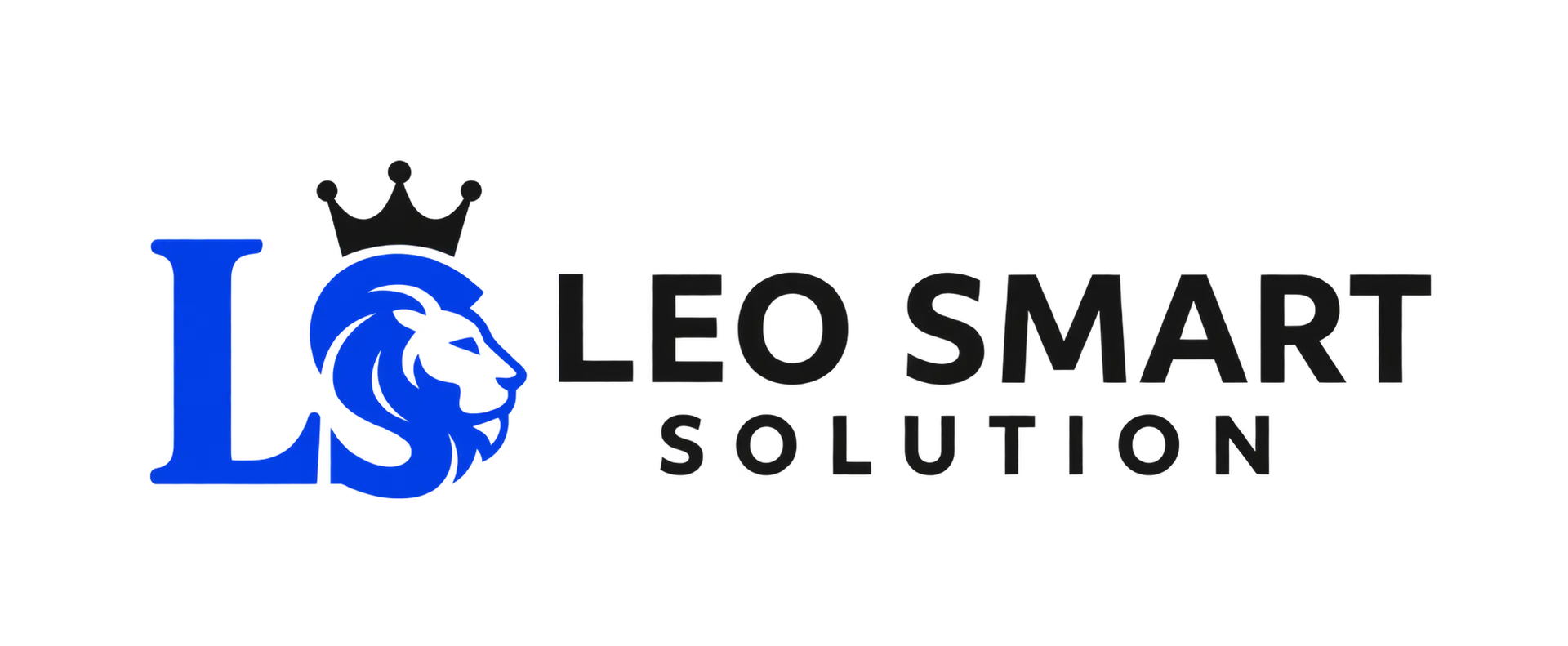 Leo Smart Solution