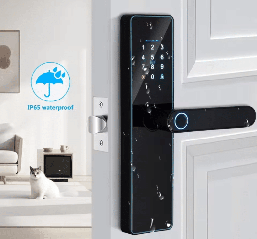 Screenshot 2025-09-19 055502